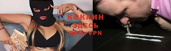 spice Алзамай
