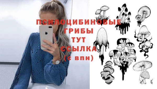меф Алексин