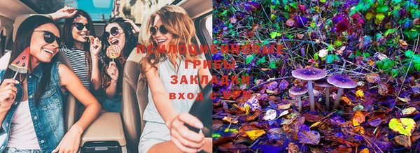 spice Алзамай