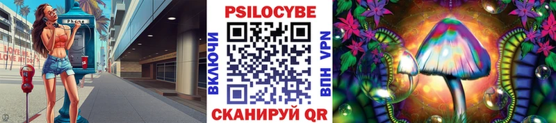 Псилоцибиновые грибы GOLDEN TEACHER  наркотики  Железногорск-Илимский 